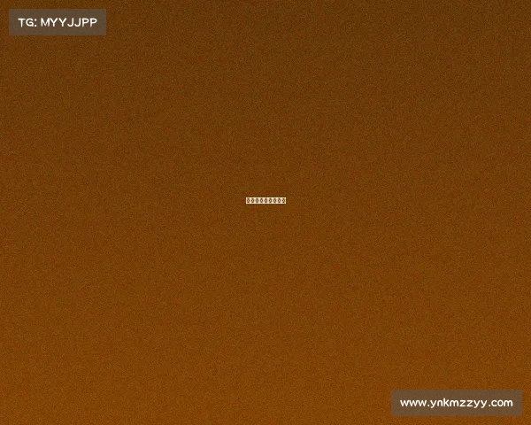 巴西足球赛事有哪些